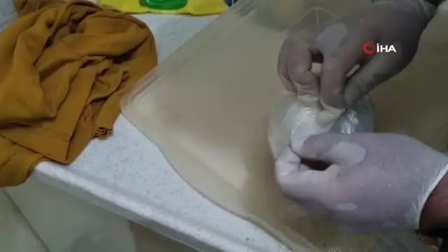 Davlumbaza ve derin dondurucuya saklanan uyuşturucu narkotik köpeğinden kaçamadı