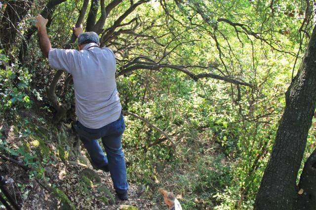 Doğu Roma'nın başkentiydi! Şimdi Türkiye'de dikenlerin ve kayaların arasında keşfedilmeyi bekliyor Doğu Roma'nın başkentiydi! Şimdi Türkiye'de dikenlerin ve kayaların arasında keşfedilmeyi bekliyor