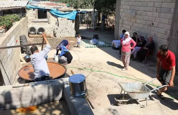 GAZİANTEP'TE PEKMEZ VE PESTİL TELAŞI BAŞLADI