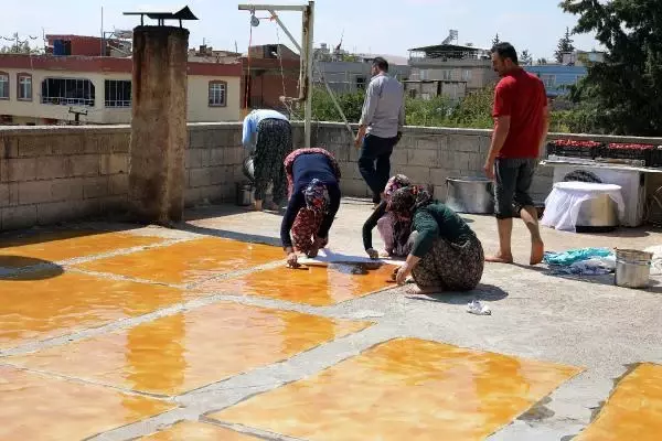 GAZİANTEP'TE PEKMEZ VE PESTİL TELAŞI BAŞLADI