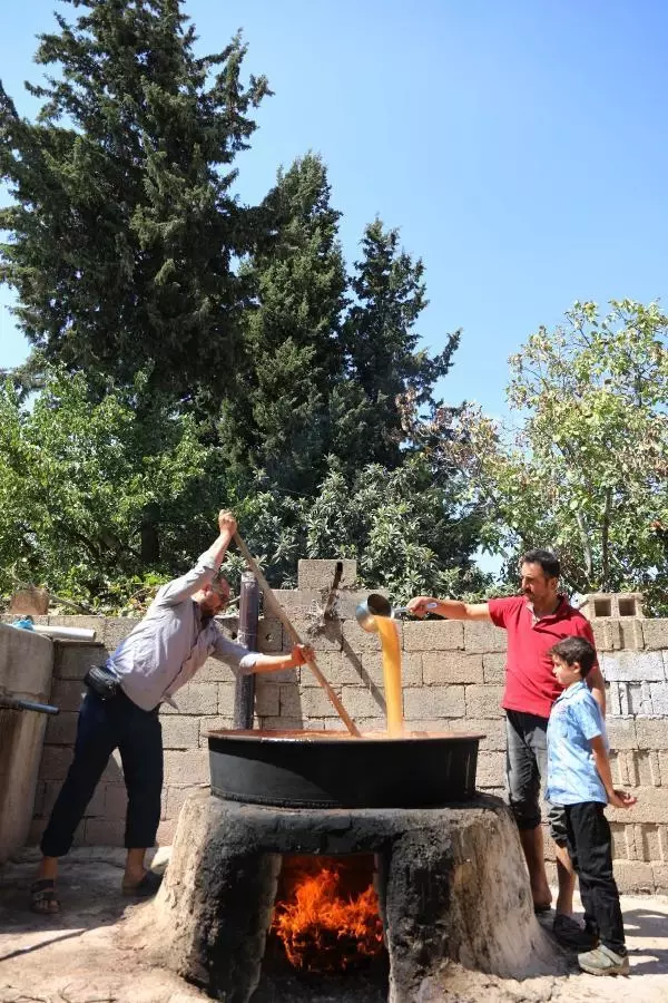 GAZİANTEP'TE PEKMEZ VE PESTİL TELAŞI BAŞLADI