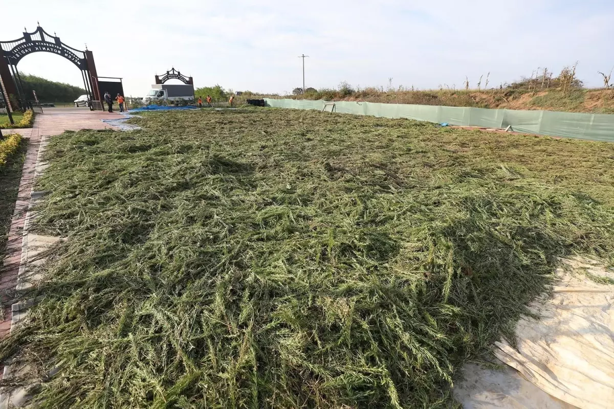 İlaç ve kozmetik sanayinde kullanılması hedeflenen bitkiler dünyaya açılıyor