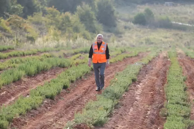 İlaç ve kozmetik sanayinde kullanılması hedeflenen bitkiler dünyaya açılıyor