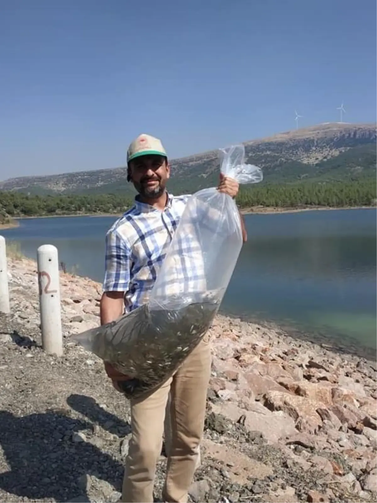 İslahiye ve Nurdağı'ndaki göletlere 70 bin sazan yavrusu bırakıldı