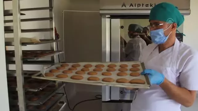 Kayısı çekirdeği ve duttan glütensiz bisküvi üretildi
