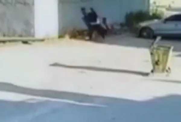 KIZ KARDEŞİNİN VİDEOSUNDA GÖRDÜĞÜ ÖĞRENCİYİ TEKME TOKAT DÖVDÜ
