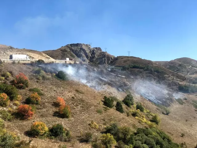Kop Dağı'nda çıkan örtü yangını büyümeden söndürüldü