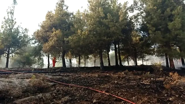 Son dakika haberi! Orman yangını kontrol altına alındı