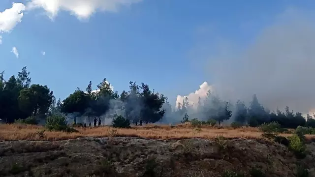 Son dakika haberi! Orman yangını kontrol altına alındı