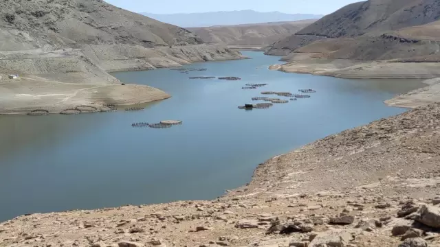 Kuraklık göl ve barajların su seviyesini düşürdü