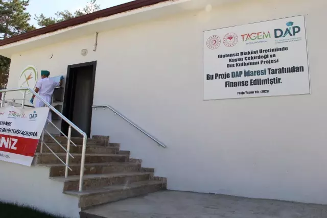 Kayısı çekirdeği ve duttan glütensiz bisküvi üretildi