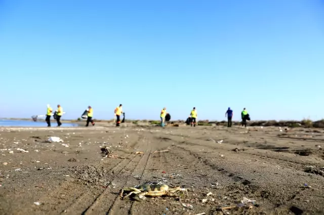 Sahillerde Suriye kaynaklı petrol sızıntısının temizlik çalışmaları sürüyor