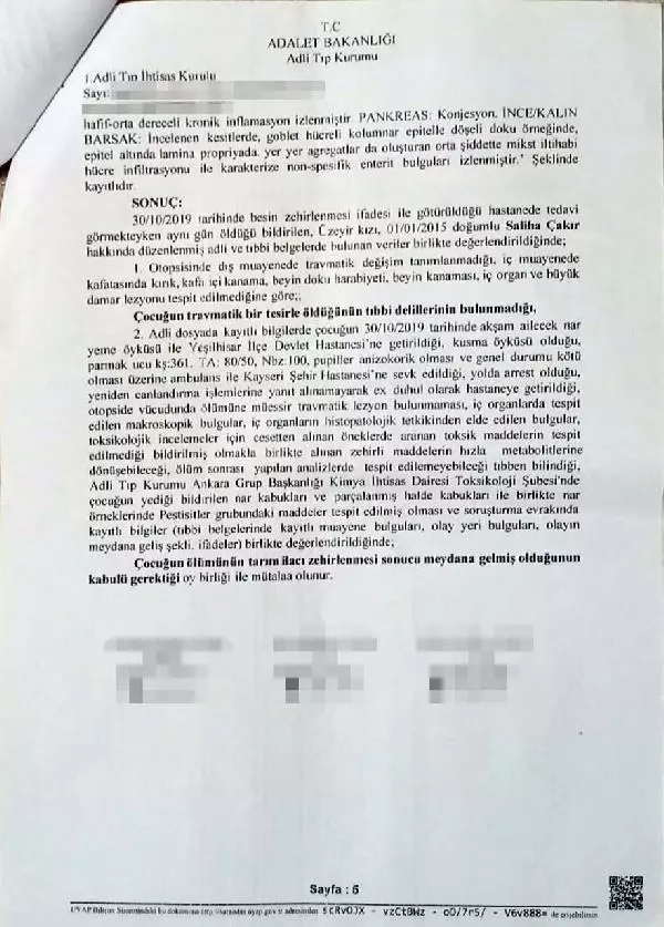 MEYVELERİ GEREKİRSE SABUNLA BİLE YIKAYABİLİRSİNİZ'