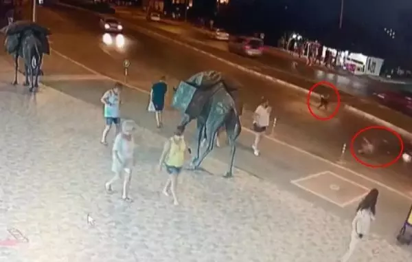 Son dakika haberi: Motosikletin çarptığı Alman turist öldü; kaza anı kamerada