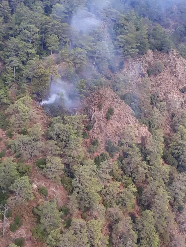 Muğla'da 11 noktada çıkan orman yangınları kontrol altına alındı