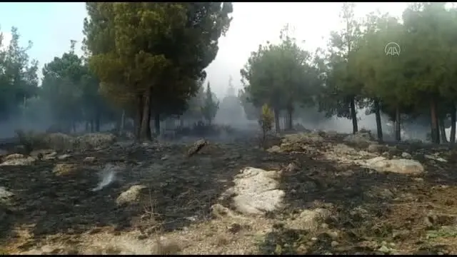 Son dakika haberi! Orman yangını kontrol altına alındı