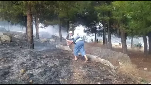 Son dakika haberi! Orman yangını kontrol altına alındı