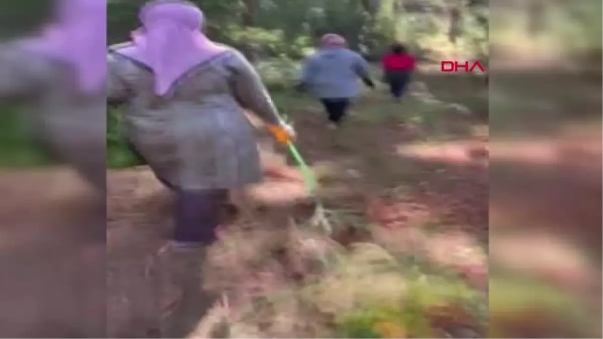 OSMANİYE'DE, ORMAN ÇÖPLÜĞE DÖNDÜ