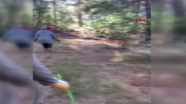 OSMANİYE'DE, ORMAN ÇÖPLÜĞE DÖNDÜ