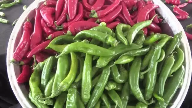 Samandağ biberi coğrafi işaret tescil belgesi aldı