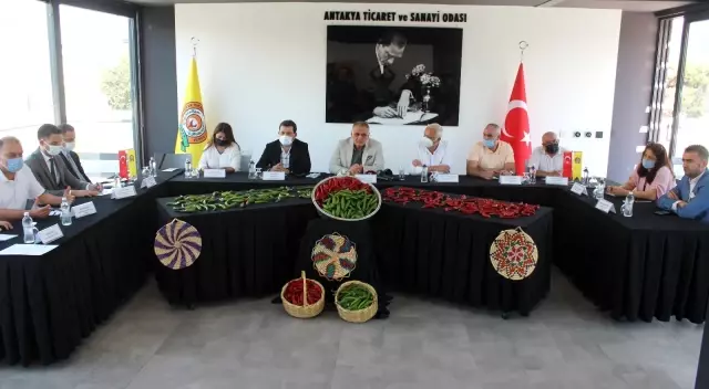 Samandağ biberine coğrafi işaret belgesi
