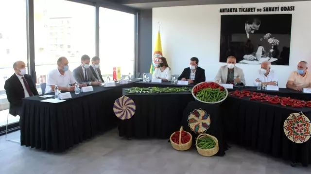 Samandağ biberine coğrafi işaret belgesi