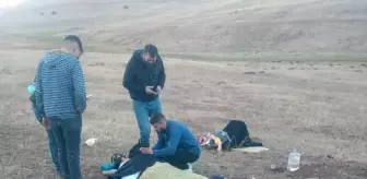 Ağrı: Son dakika haberi... Şarampole devrilen otomobildeki 1 bebek öldü, 3 kişi yaralandı Ağrı: Son dakika haberi... Şarampole devrilen otomobildeki 1 bebek öldü, 3 kişi yaralandı