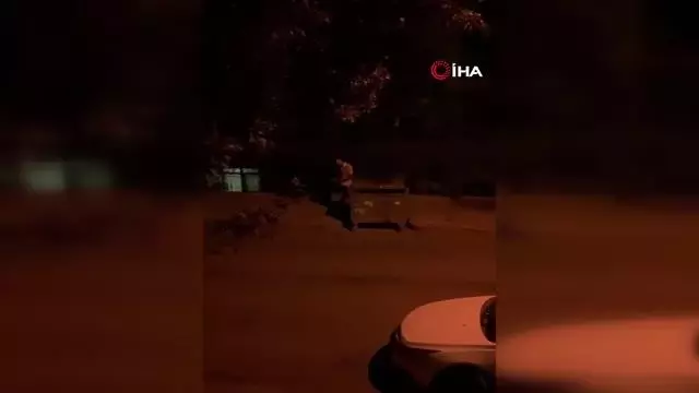 Sokak hayvanları için konulan su ve mamaları döken komşusu çıktı