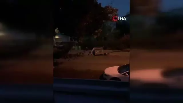 Sokak hayvanları için konulan su ve mamaları döken komşusu çıktı