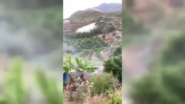 Tarım arazisinde çıkan yangında muz, avokado ve zeytin ağaçları zarar gördü