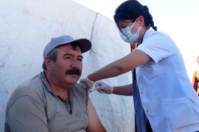 Tatvan'da aşılama çalışmaları devam ediyor