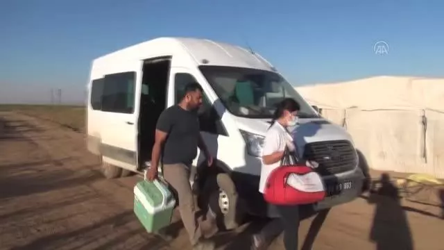 Tatvan'da aşılama çalışmaları devam ediyor