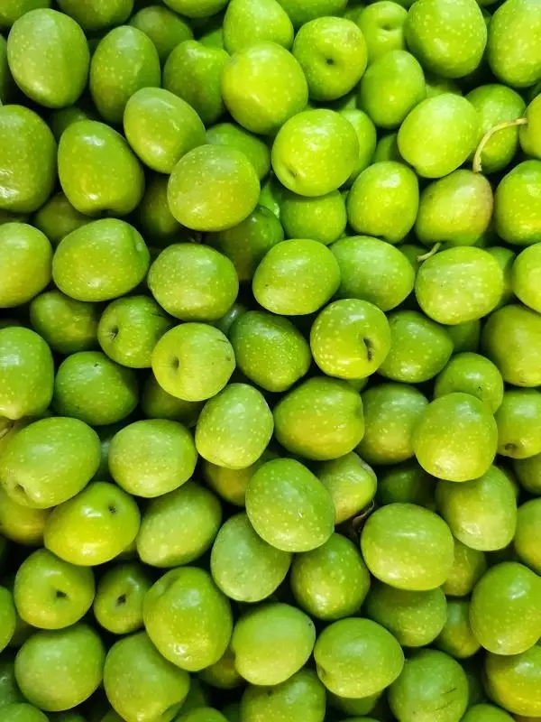 RABBIT HEART OLIVE OIL HAS THE HIGHEST ANTIOXIDANT LEVELS