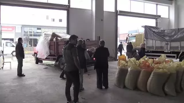 TMO'nun fındık alımları devam ediyor