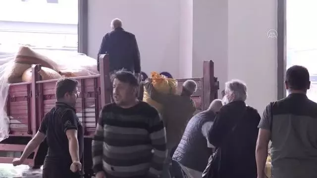 TMO'nun fındık alımları devam ediyor