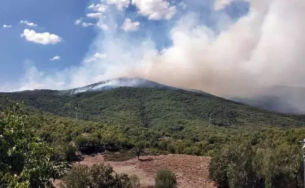 TUNCELİ'DEKİ ÖRTÜ YANGINI KISMEN KONTROL ALTINDA