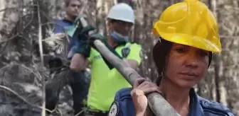 Türkiye'deki orman yangınlarıyla ilgili EGM'den duygulandıran belgesel