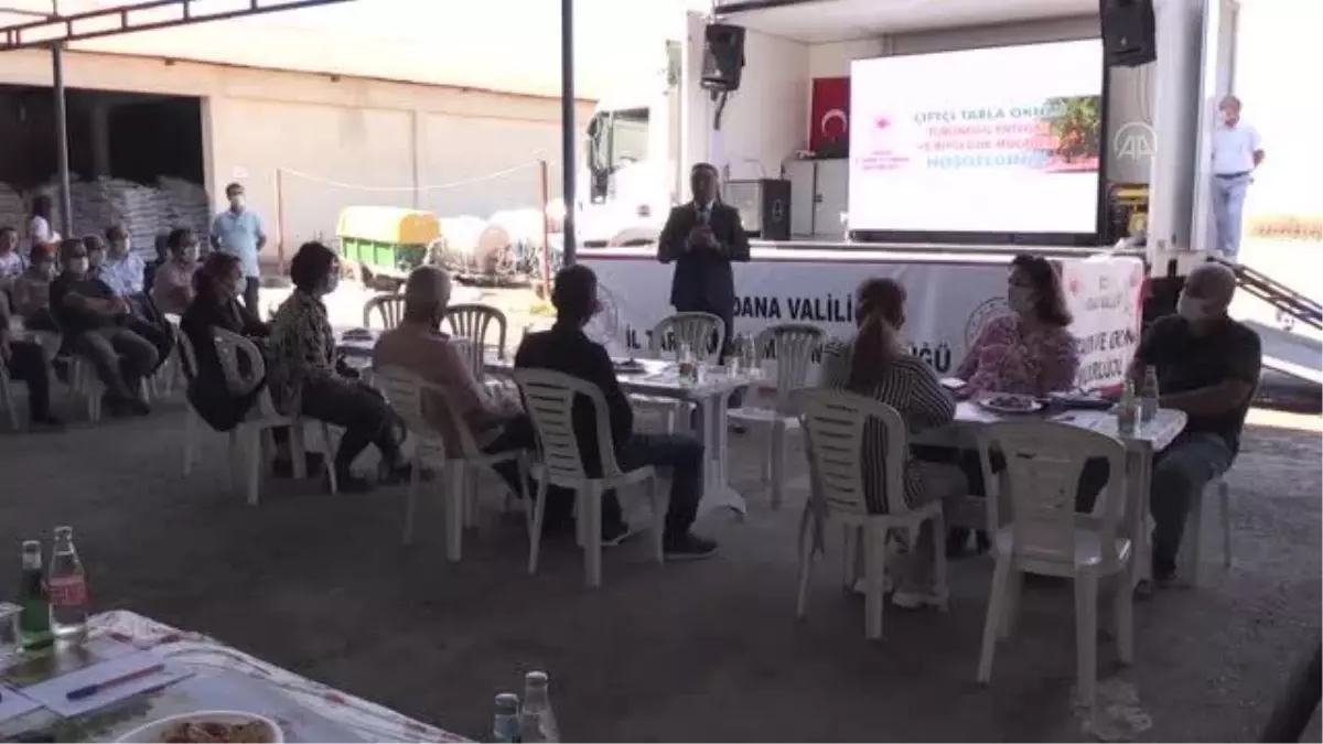 Turunçgil bahçelerine 30 bin faydalı böcek salındı