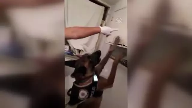 Uyuşturucu sattıkları iddiasıyla yakalanan 8 şüpheli tutuklandı