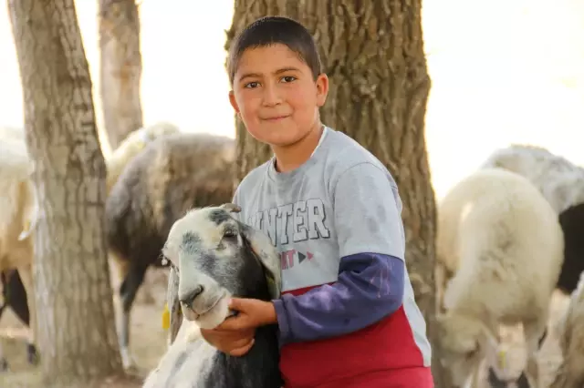 Van'da devletin sürü desteği tersine göç ü başlattı