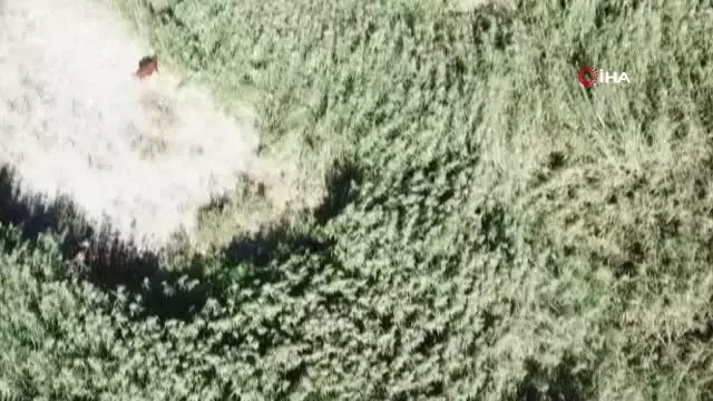 Van'da jandarma havadan ve karadan teyakkuzda
