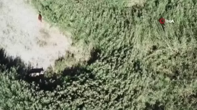 Van'da jandarma havadan ve karadan teyakkuzda