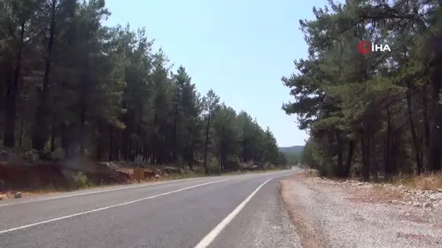 Son dakika... Yangın arıcıları vurdu, çam balı üretimi yağmura kaldı