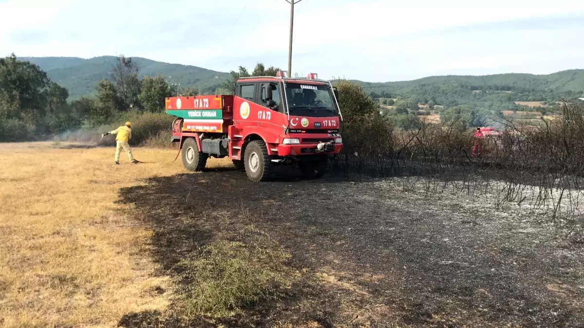 Son dakika haberleri! Yenice'de anız yangını
