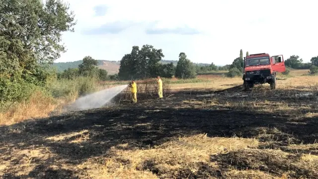 Son dakika haberleri! Yenice'de anız yangını