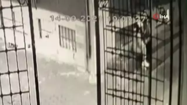Zeytinburnu'ndaki kadın cinayeti kamerada