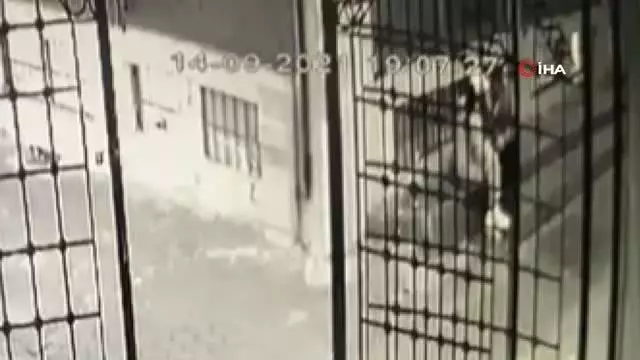Son dakika haber... Zeytinburnu'ndaki kadın cinayeti kamerada