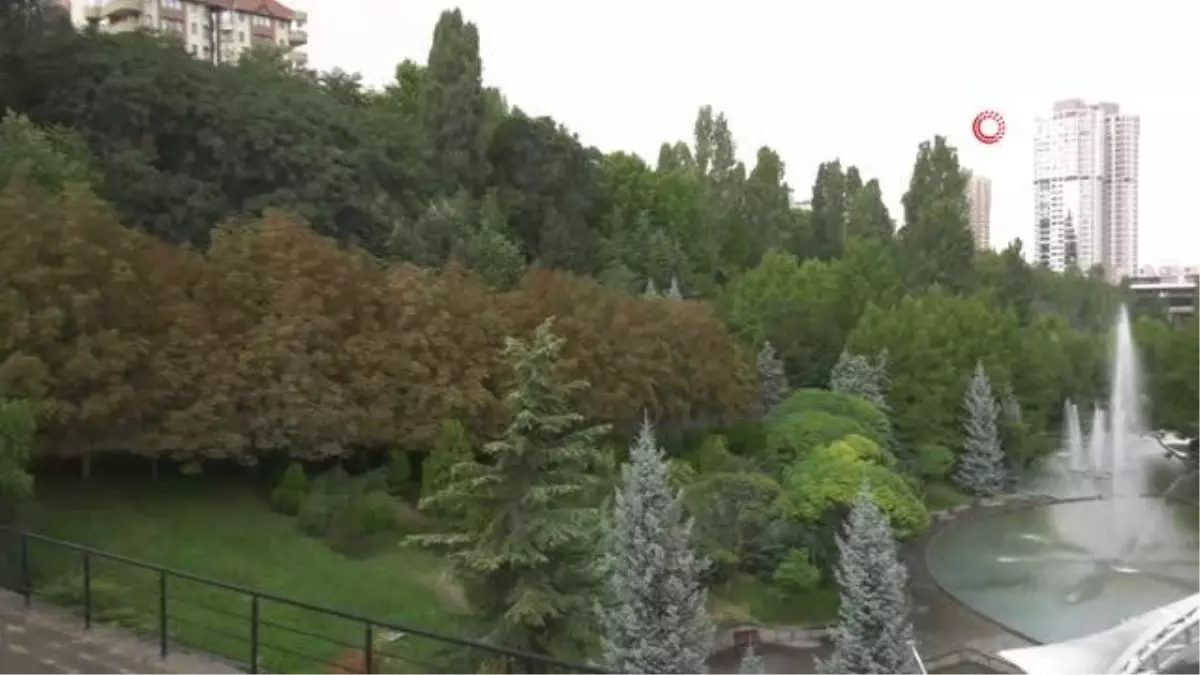 Dikmen Vadisi'ndeki havuzlar yıllar sonra yeniden faaliyette