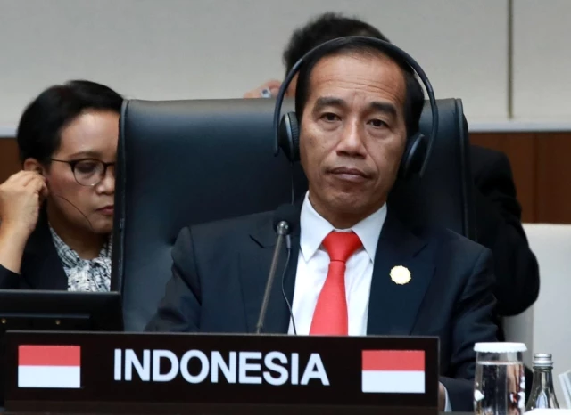 Endonezya'da hava kirliliğinde Devlet Lideri Widodo ihmalkar bulundu