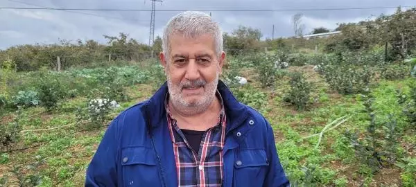 KARADENİZ'DE ÜRETİMİ ARTAN 'ARONYA' MEYVESİ YOK SATIYOR